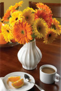 bouquet-de-fleurs 29 liste